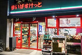 グランド・ガーラ日本橋茅場町  ｜ 東京都中央区日本橋茅場町2丁目5-2（賃貸マンション1LDK・10階・40.98㎡） その25