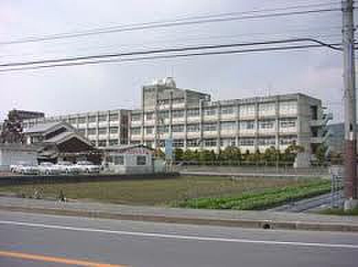 画像11:【高校】 姫路南高等学校まで836ｍ