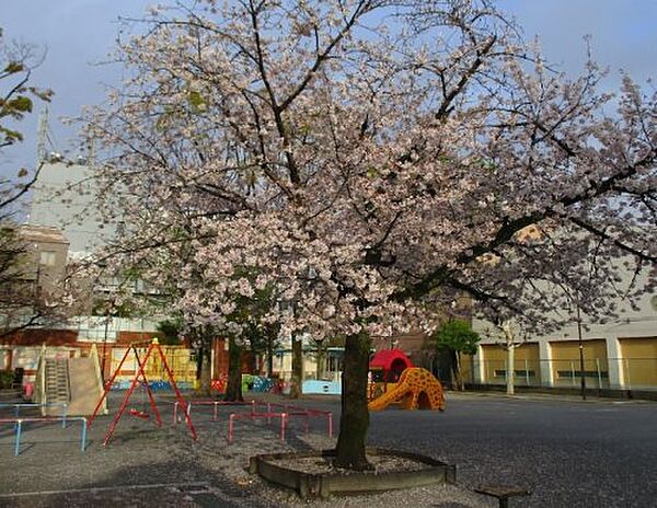 ロイジェント菊川 ｜東京都墨田区菊川2丁目(賃貸マンション1LDK・4階・40.26㎡)の写真 その27