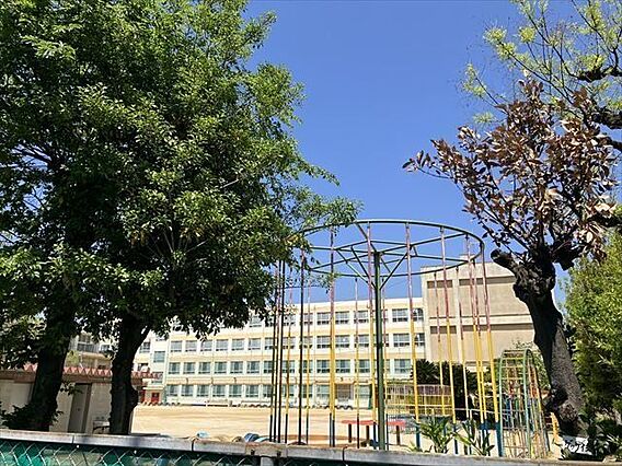 名古屋市立枇杷...