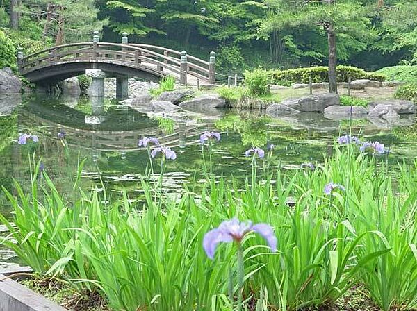 画像20:栃木県中央公園（1752m）