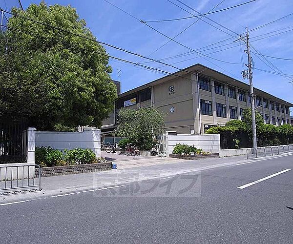 画像5:松尾中学校まで1600m 桂川沿いの大きな中学校です。