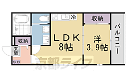 HarmonyTerrace-sy椥辻 1LDKの間取図画像