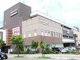 20CP実施中シャイニングスター菊水 206 ｜ 北海道札幌市白石区菊水八条3丁目5-11（賃貸アパート1LDK・3階・31.19㎡） その28