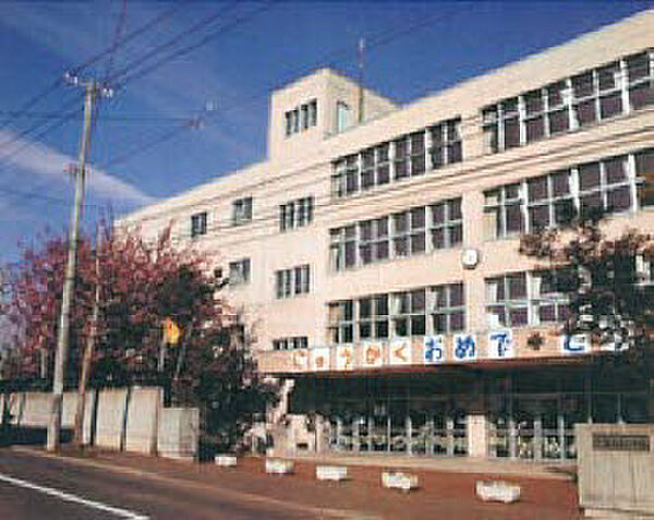 画像23:【小学校】札幌市立南白石小学校まで311ｍ
