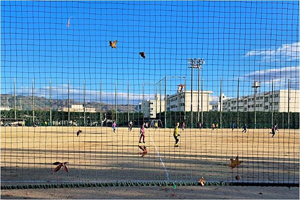画像18:【スポーツ施設】八尾市立 青少年運動広場まで800ｍ