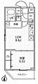 アリビス志村三丁目5階15.7万円