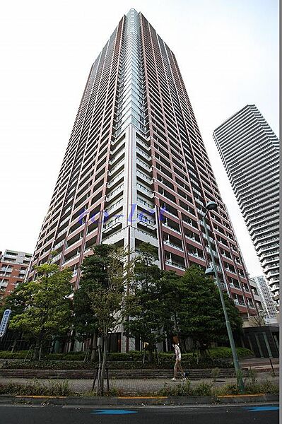 神奈川県川崎市中原区中丸子(賃貸マンション2LDK・45階・73.51㎡)の写真 その17