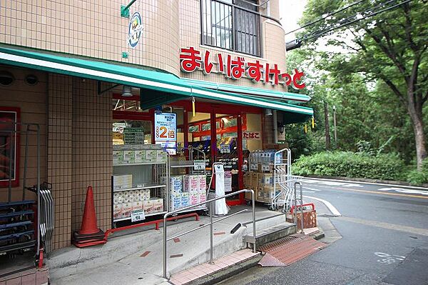 神奈川県川崎市中原区上小田中6丁目(賃貸マンション2LDK・1階・47.00㎡)の写真 その28