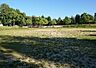 周辺：さつき公園 470m
