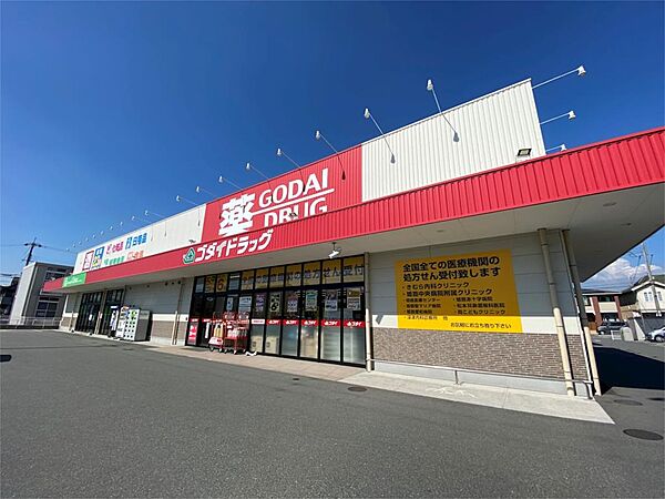 画像23:ゴダイドラッグ　上野田店（4642m）