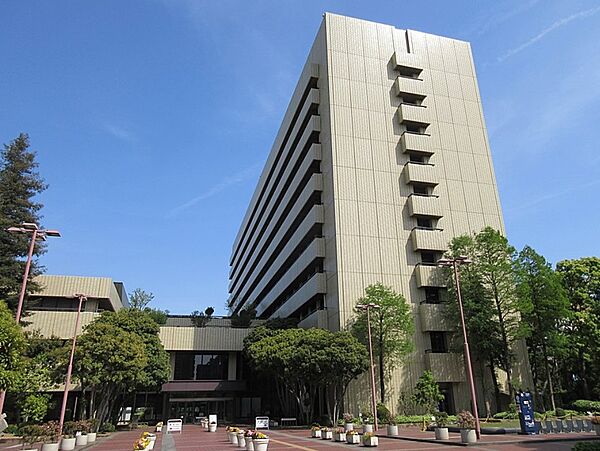 画像17:姫路市役所（273m）