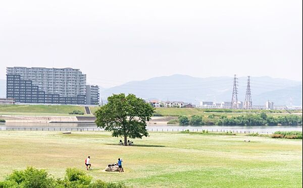 画像21:淀川河川公園（3134m）