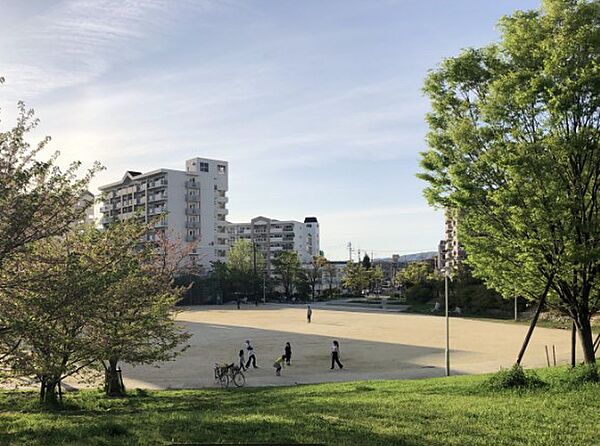画像16:熊野田公園（1712m）
