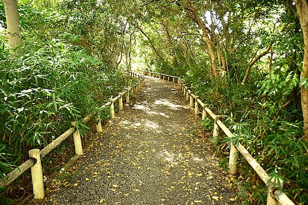 画像21:旧猪名川自然歩道（515m）