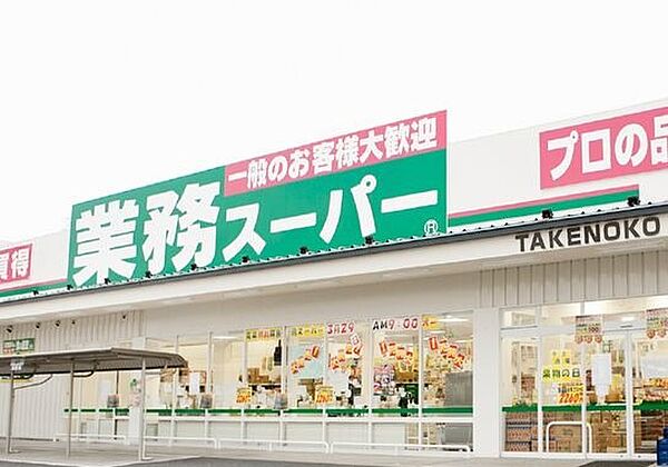 大阪府豊中市山ノ上町(賃貸マンション2DK・4階・34.00㎡)の写真 その16