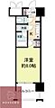 PARKFLATSESAKA7階8.0万円