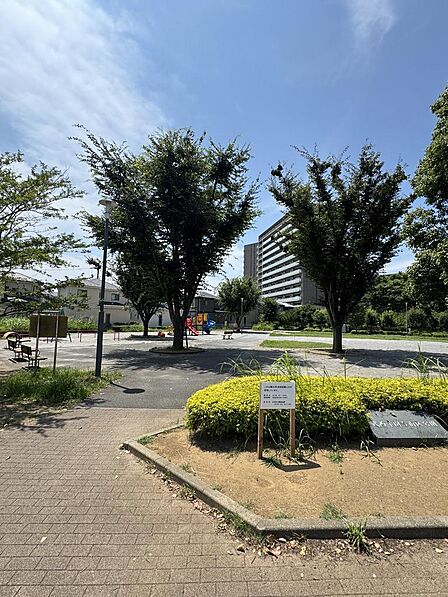 遊具やベンチが備えられた公園がすぐ近くにあります。木々の緑に囲まれた広場ではお子様がのびのびと遊べ、季節の移ろいも感じられます。ご家族でお散歩に出かける休日の過ごし方も広がりそうです。