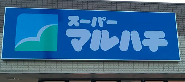 画像17:【スーパー】スーパーマルハチ 柳原店まで266ｍ