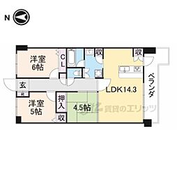 セレナハイム新大宮セントラルステージ