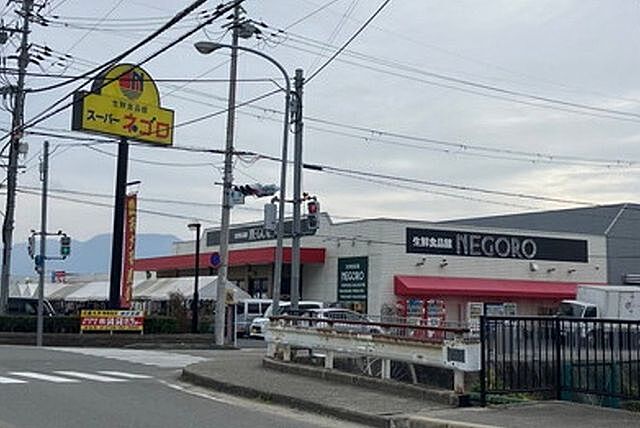 周辺 岩出市西安上