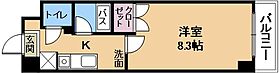 アートプラザ野路  ｜ 滋賀県草津市野路東4丁目（賃貸マンション1K・4階・25.30㎡） その2