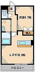 見沼代親水公園駅 6.7万円