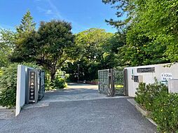 【中学校】港区立高松中学校まで1781ｍ