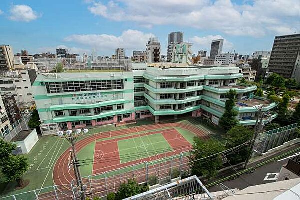 画像18:【小学校】台東区立松葉小学校まで503ｍ