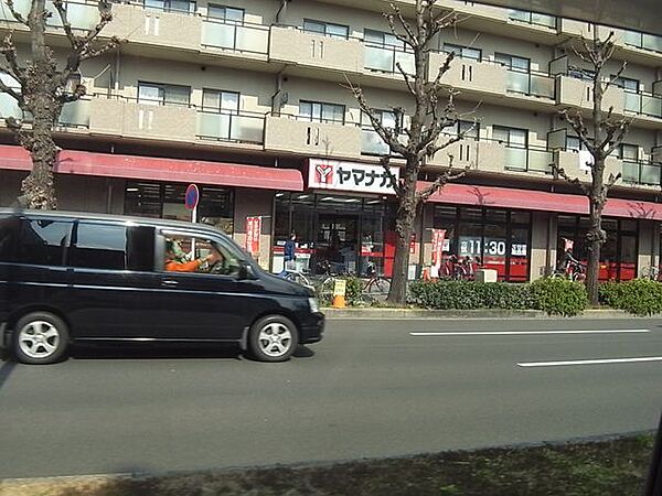 画像15:スーパーヤマナカ・つるまい店（441m）
