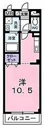 ハナミズキ
