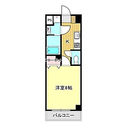 ヴィガラスT