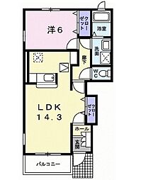 プラシード
