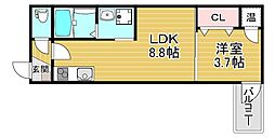 Fasecialipline 1LDKの間取図画像