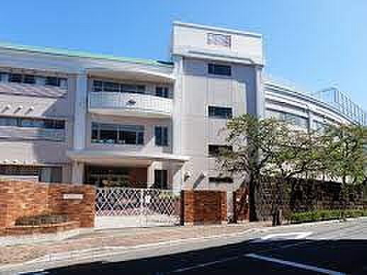 画像17:【小学校】私立東京女学館小学校まで336ｍ