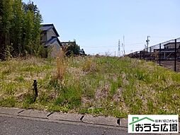 愛知県愛西市東條町柳原