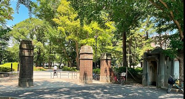 画像21:【公園】松戸中央公園まで1354ｍ