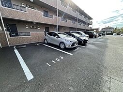 15 / 17