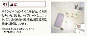 エルフォルク  ｜ 千葉県柏市松ケ崎（賃貸アパート1LDK・1階・38.84㎡） その18