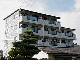 MTハイツ  ｜ 兵庫県加古郡播磨町南大中１丁目11-34（賃貸マンション2LDK・4階・52.58㎡） その1