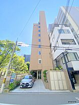 センエイ谷四  ｜ 大阪府大阪市中央区農人橋1丁目（賃貸マンション1R・5階・19.70㎡） その1