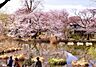 周辺：【公園】東京都立　善福寺公園まで1002ｍ