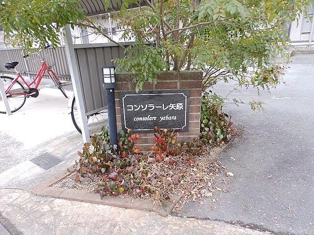 3 / 18