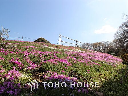 砧公園 距離約350m