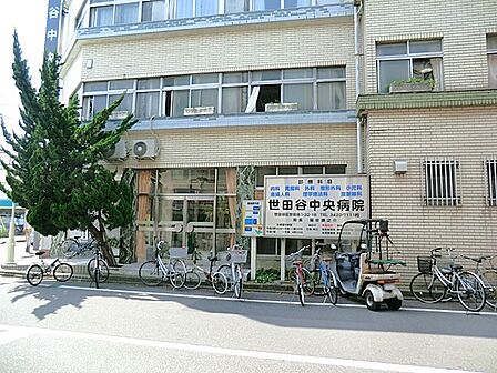 世田谷中央病院 距離約950m