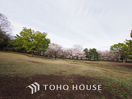 祖師谷公園 距離約850m