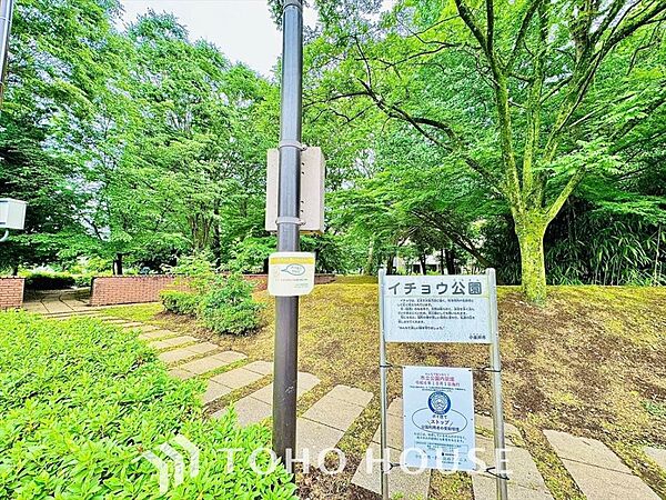 周辺を拡大表示