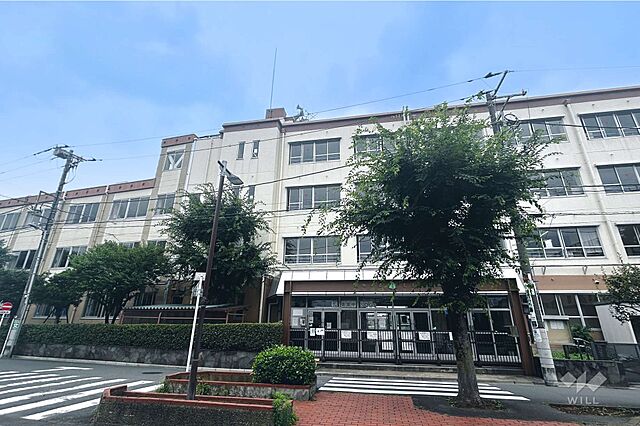 周辺 お花茶屋第2ローヤルコーポ 4階/-