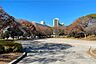 周辺：中川公園の外観