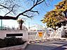 周辺：東村山市立八坂小学校まで徒歩10分728ｍ！毎日の通学負担を軽減できる、子育て世帯に嬉しい環境。